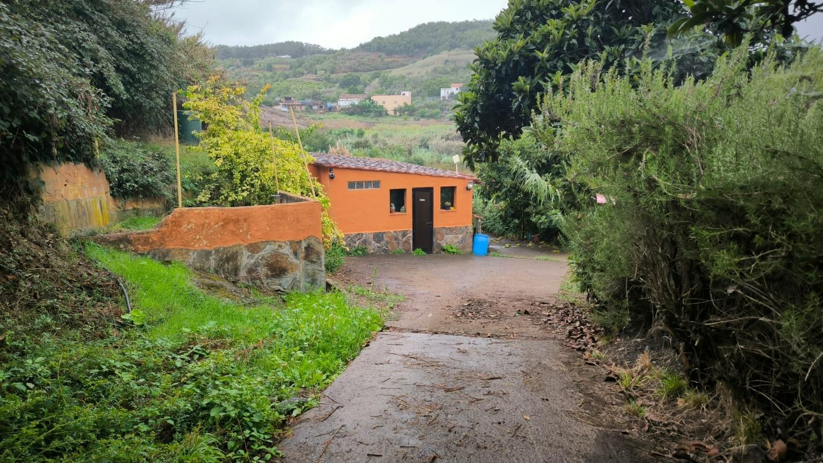 Vista exterior de Casa o chalet en venta en Moya (Las Palmas) con Jardín privado y Terraza