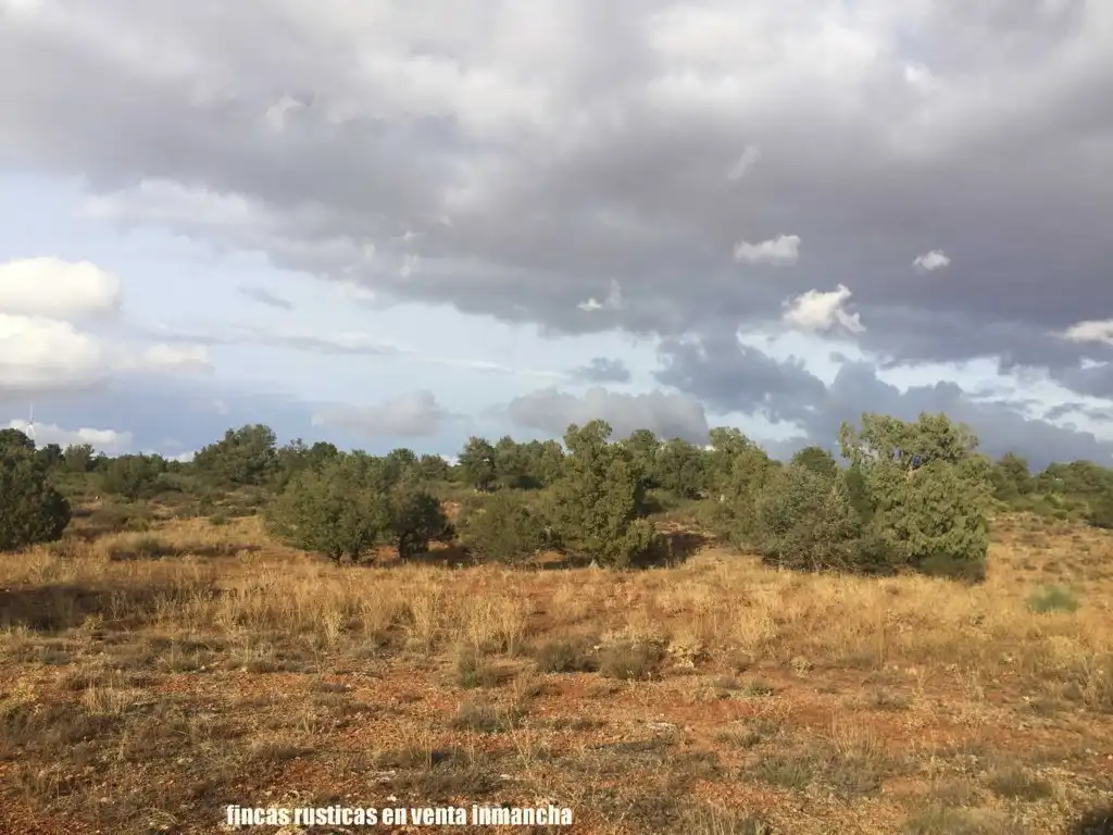 Terreni e lotti in vendita a Munera, imagen 15