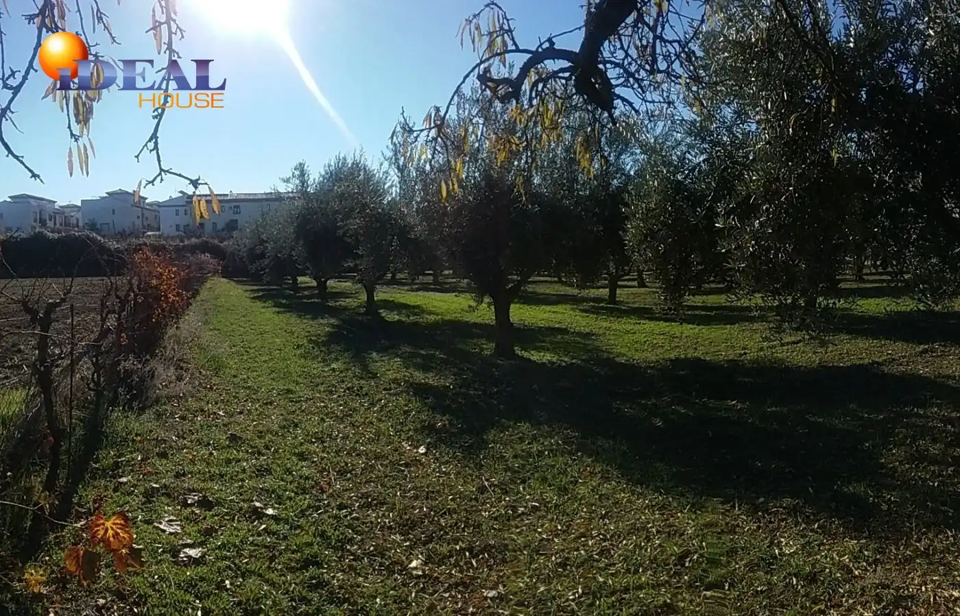 Finca rústica en venta en La Zubia Ciudad