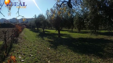 Foto 4 de Finca rústica en venta en La Zubia Ciudad, La Zubia