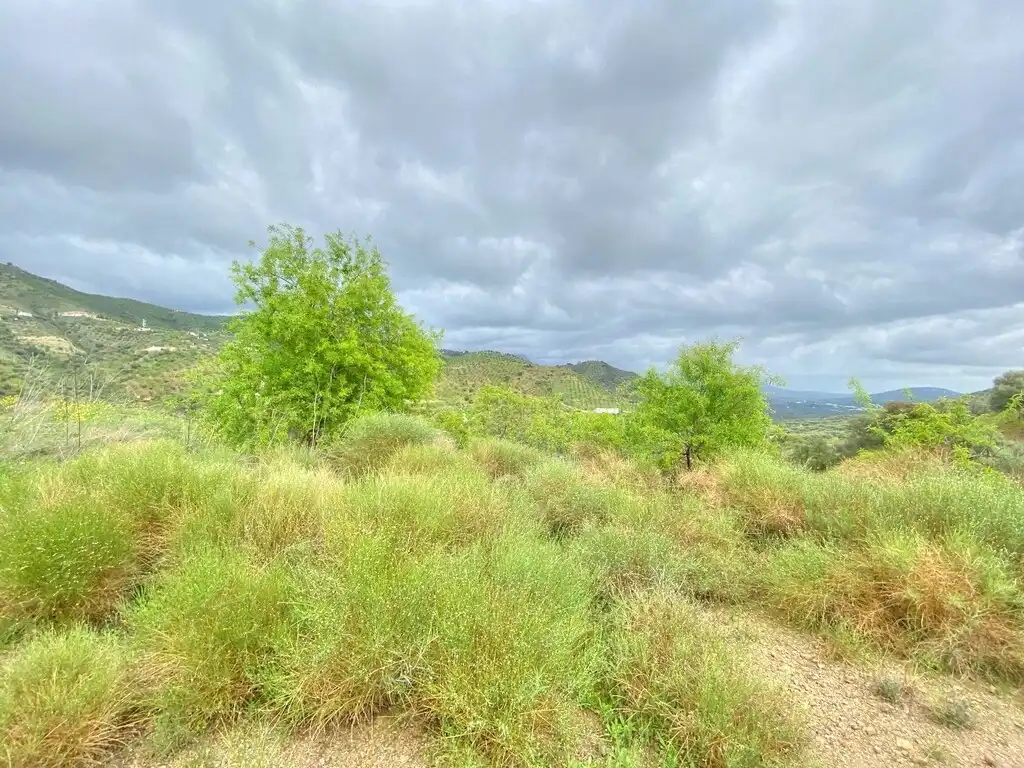 Casa rústica con jardín en venta en Colmenar, imagen 27