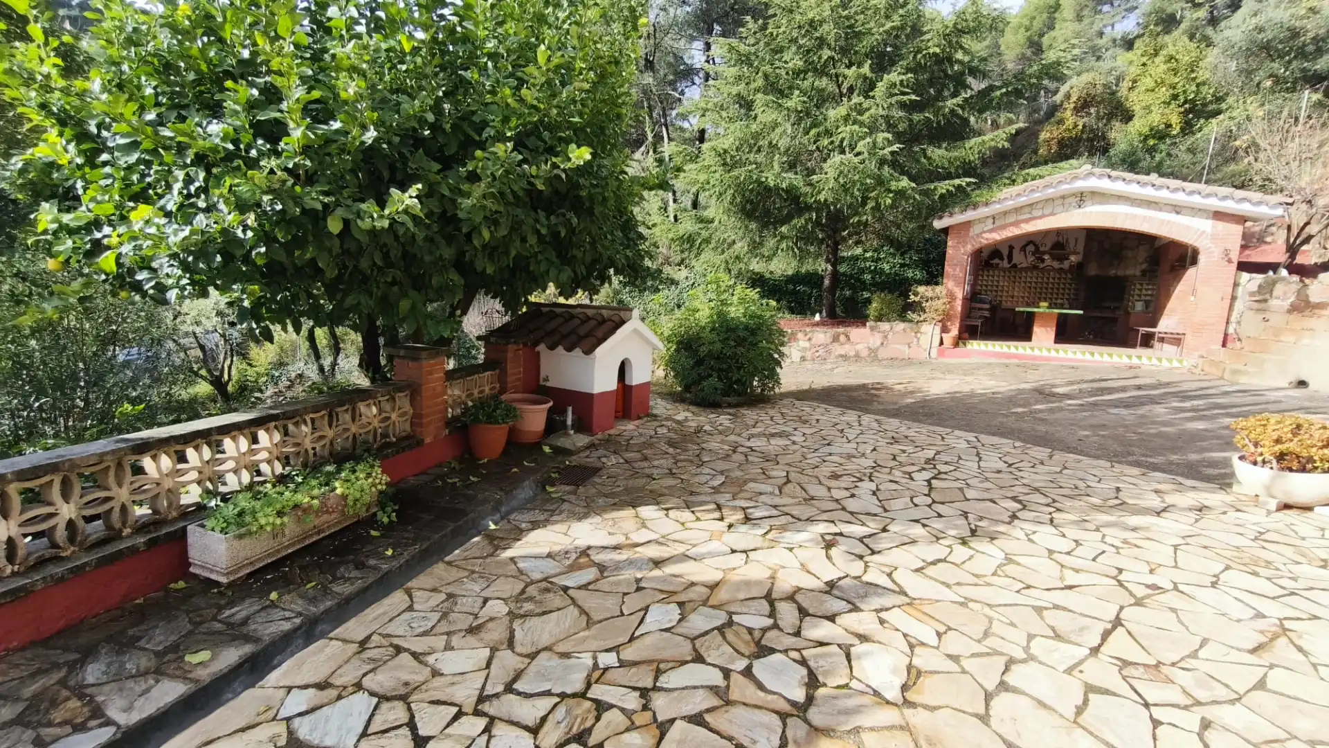 Jardí de Casa o xalet en venda en Cervelló amb Jardí privat, Terrassa i Piscina