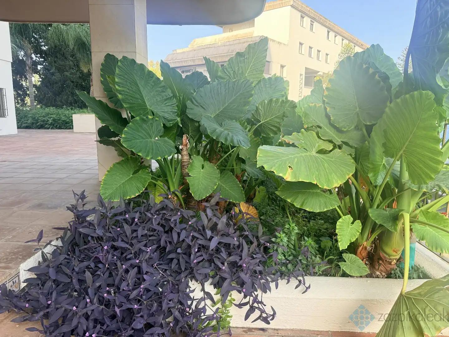 Flat with terrace for sale in Iris-ur nva andalucia, imagen 18