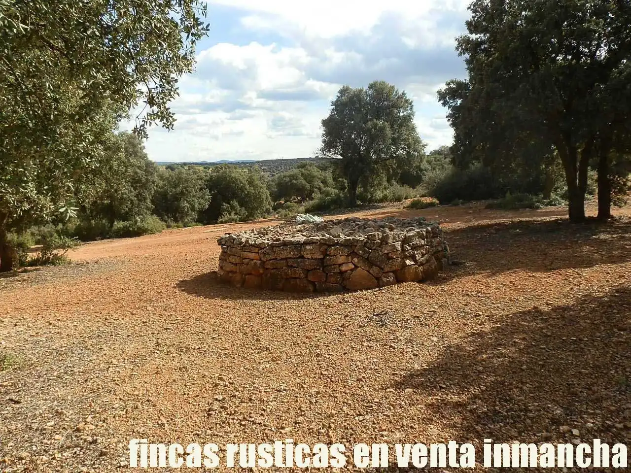 Terreni e lotti in vendita a Balazote, imagen 5