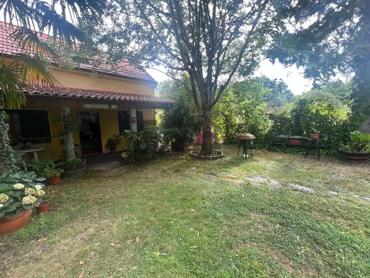 Jardín de Casa o chalet en venta en Taboadela con Jardín privado, Trastero y Amueblado