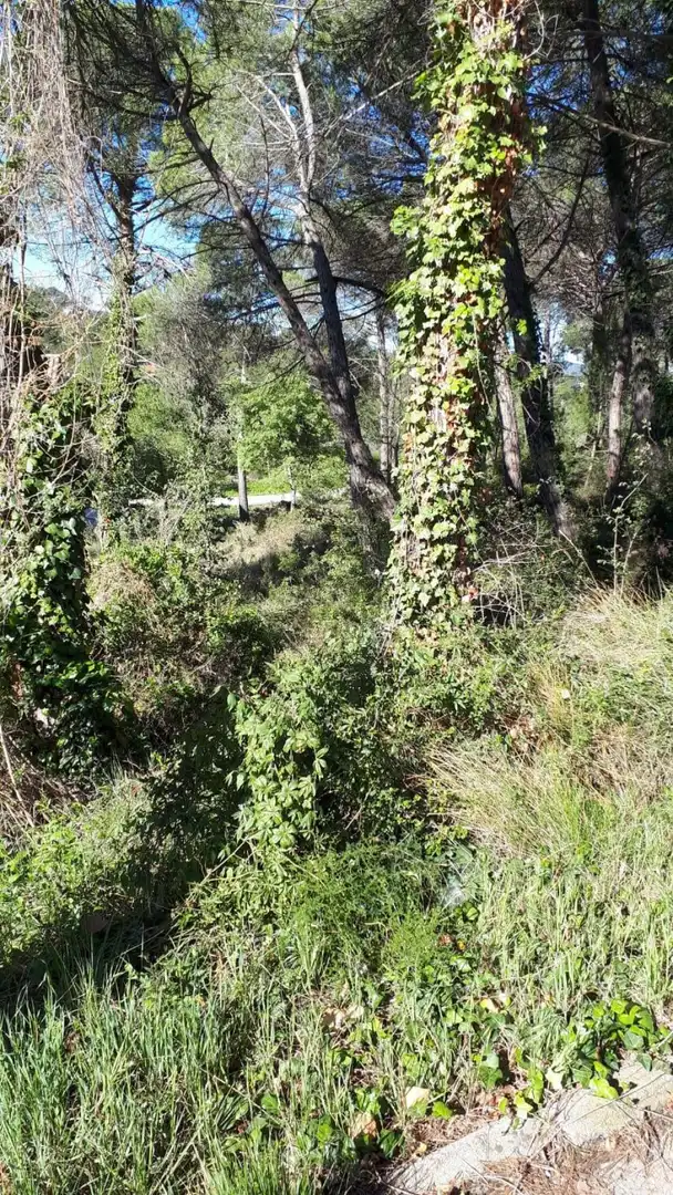 Rustikales Grundstück zum Verkauf in ORENETA, imagen 9