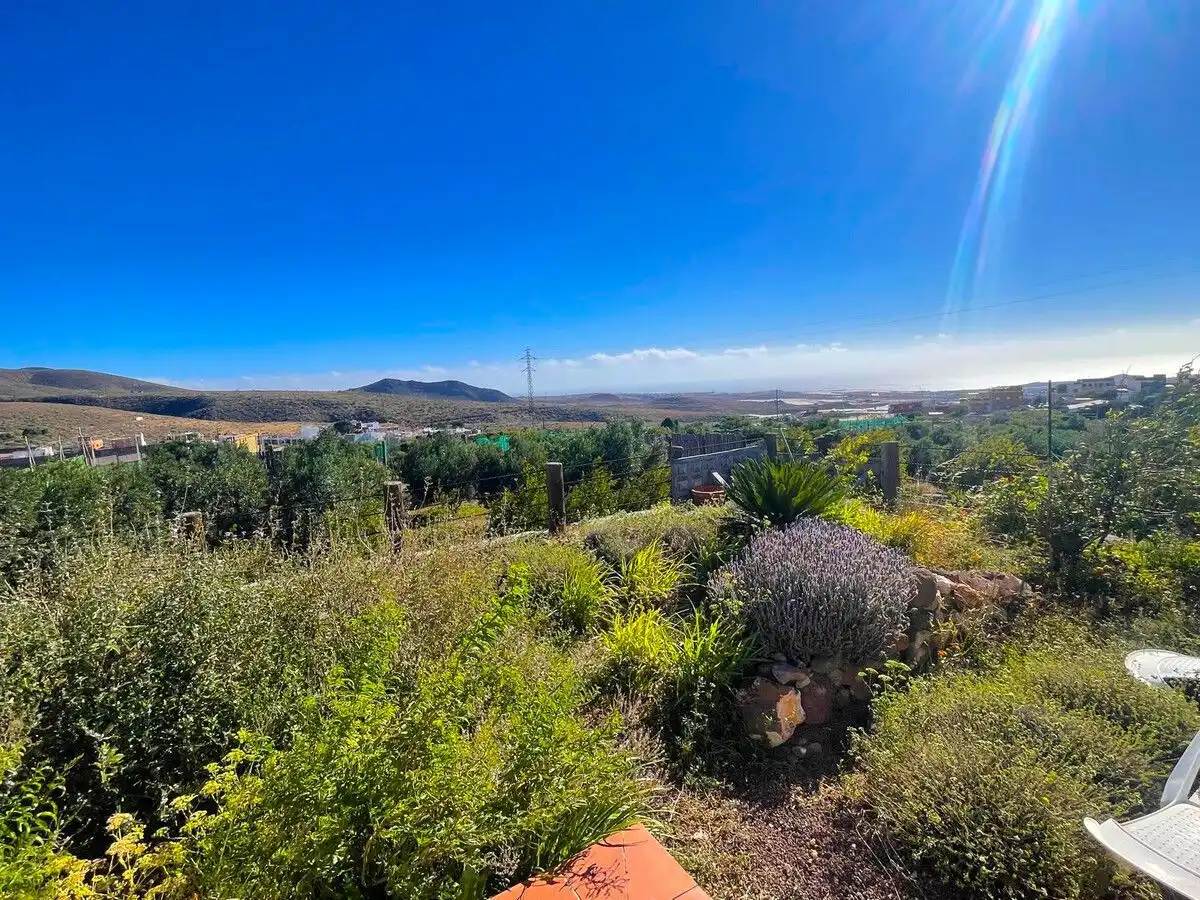 Land for sale in Ingenio