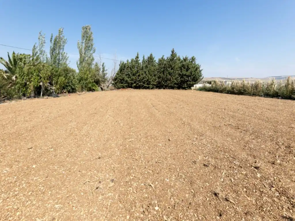 Maison à vendre à Alhama de Granada, imagen 27