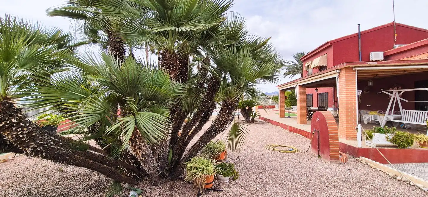 Jardí de Casa o xalet en venda en Elche / Elx amb Aire condicionat, Jardí privat i Traster
