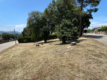 Terrenos y solares en venta en paisos catalans 29