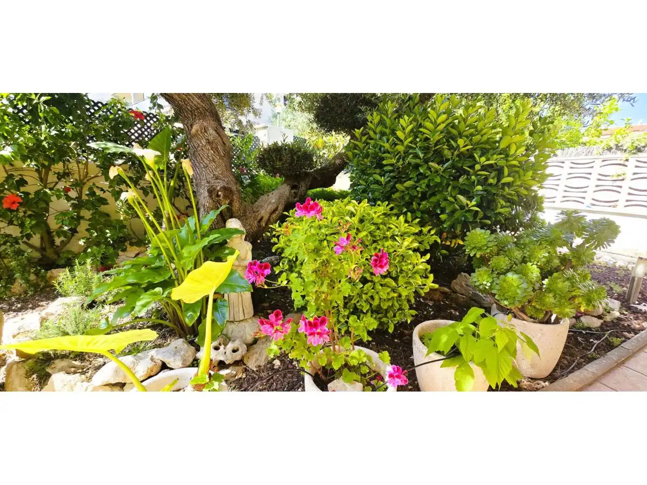Jardí de Casa o xalet en venda en Torredembarra amb Aire condicionat, Calefacció i Jardí privat