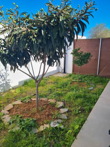 Casa adosada en Alquiler en Los Gallos