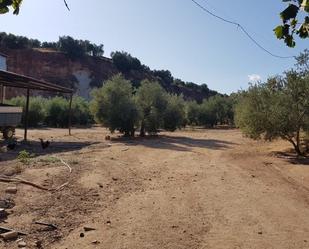 Finca rústica en venda en Linares amb Terrassa