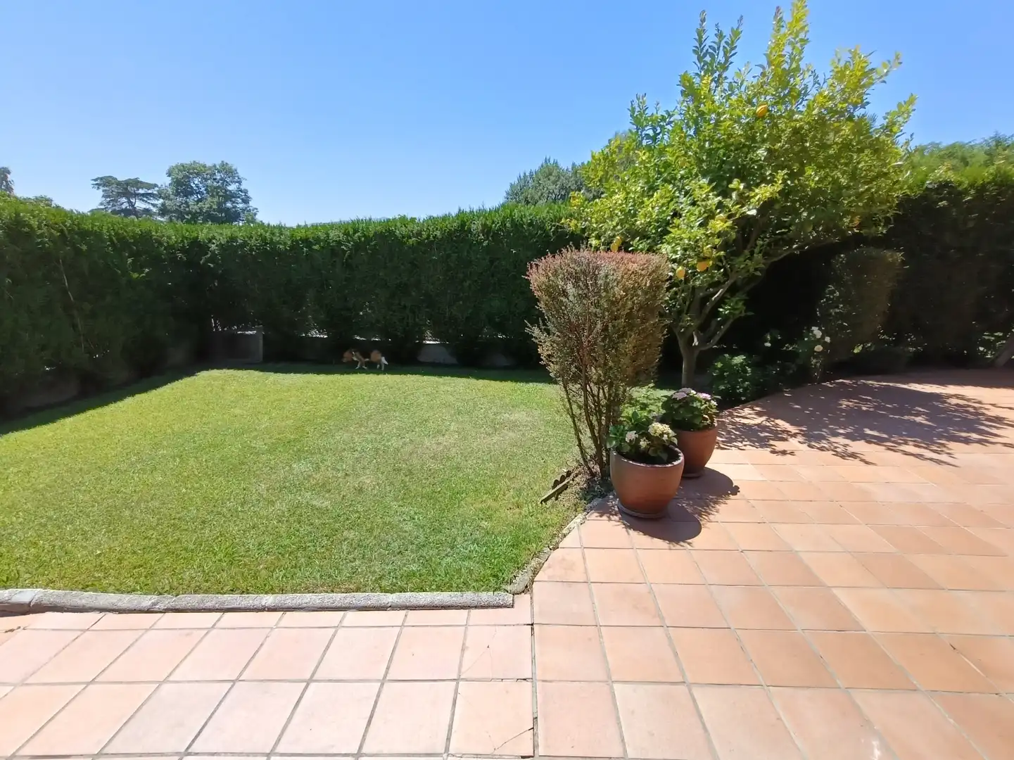 Casa o xalet en venda a Viveda - BO VIVEDA-PELIA, 44, Santillana del Mar