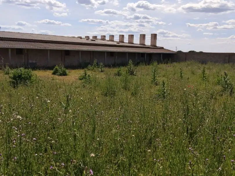 Außenansicht von Fabrik Grundstücke zum Verkauf in La Roda