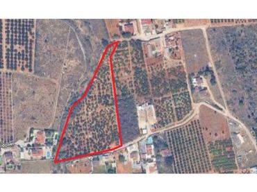Terreny rústic en venda a Camino Cova Negra 1