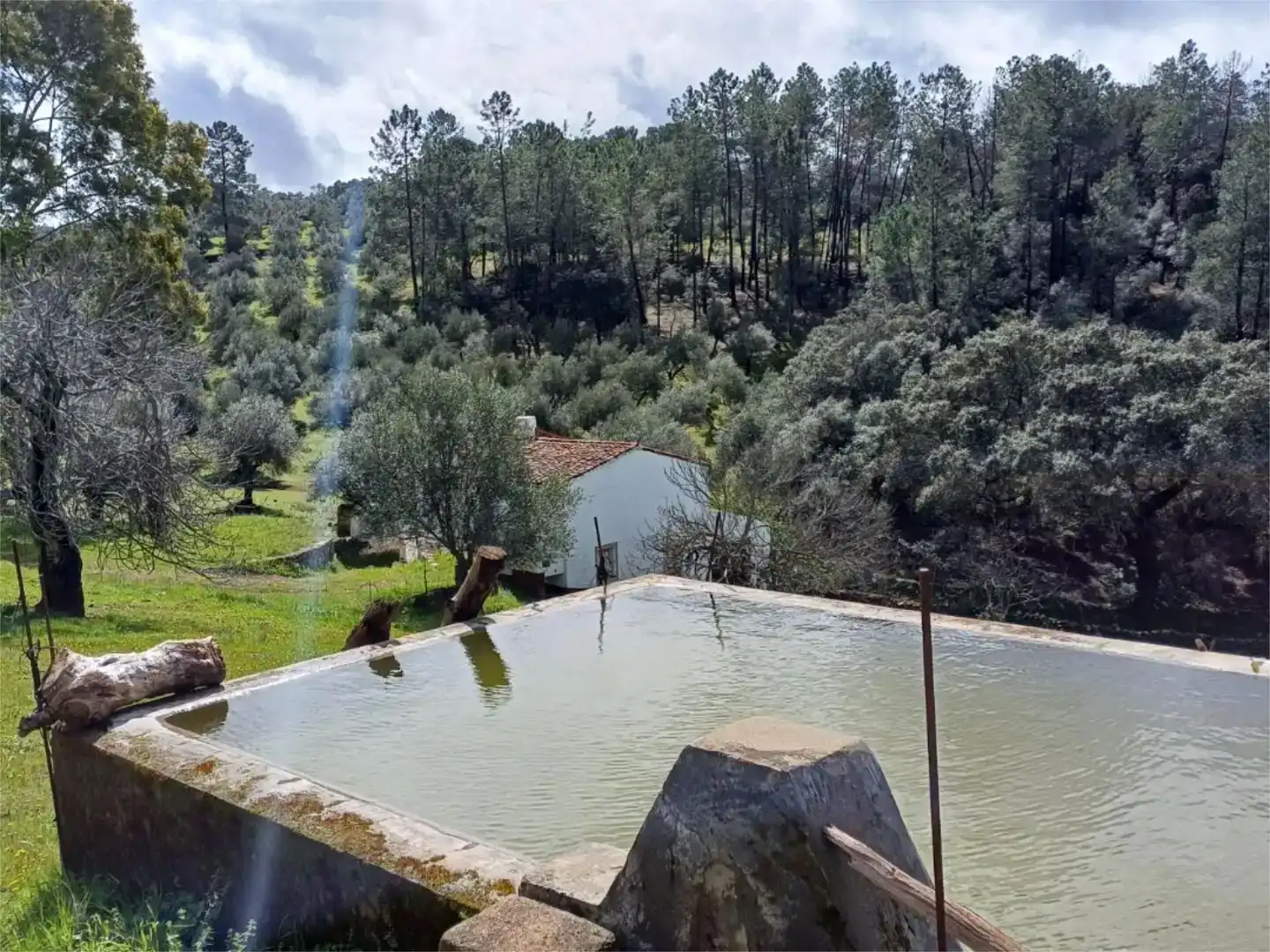 Piscina de Finca rústica en venta en Fuentes de León