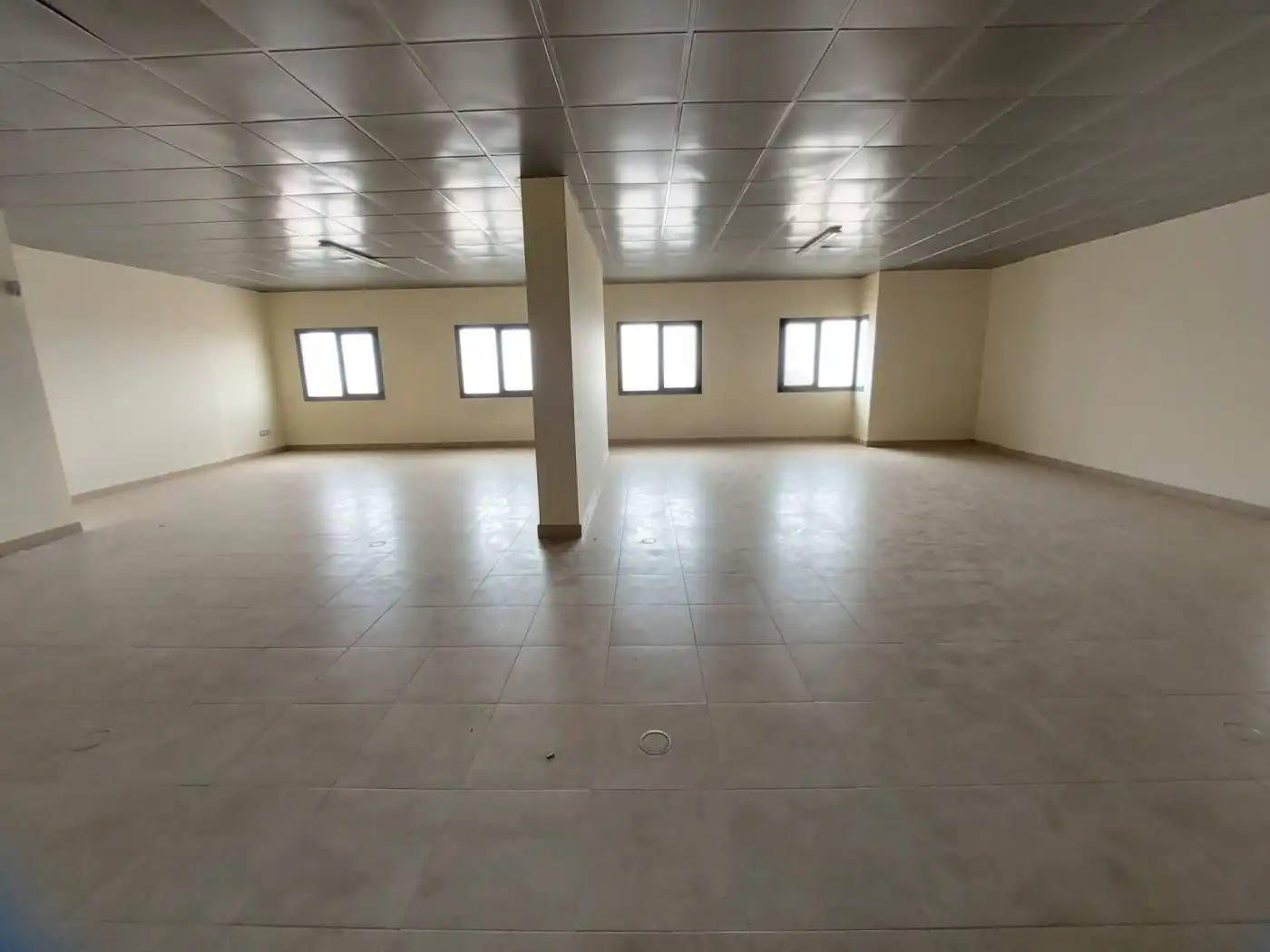 Office space for sale in El Ejido Ciudad, imagen 8