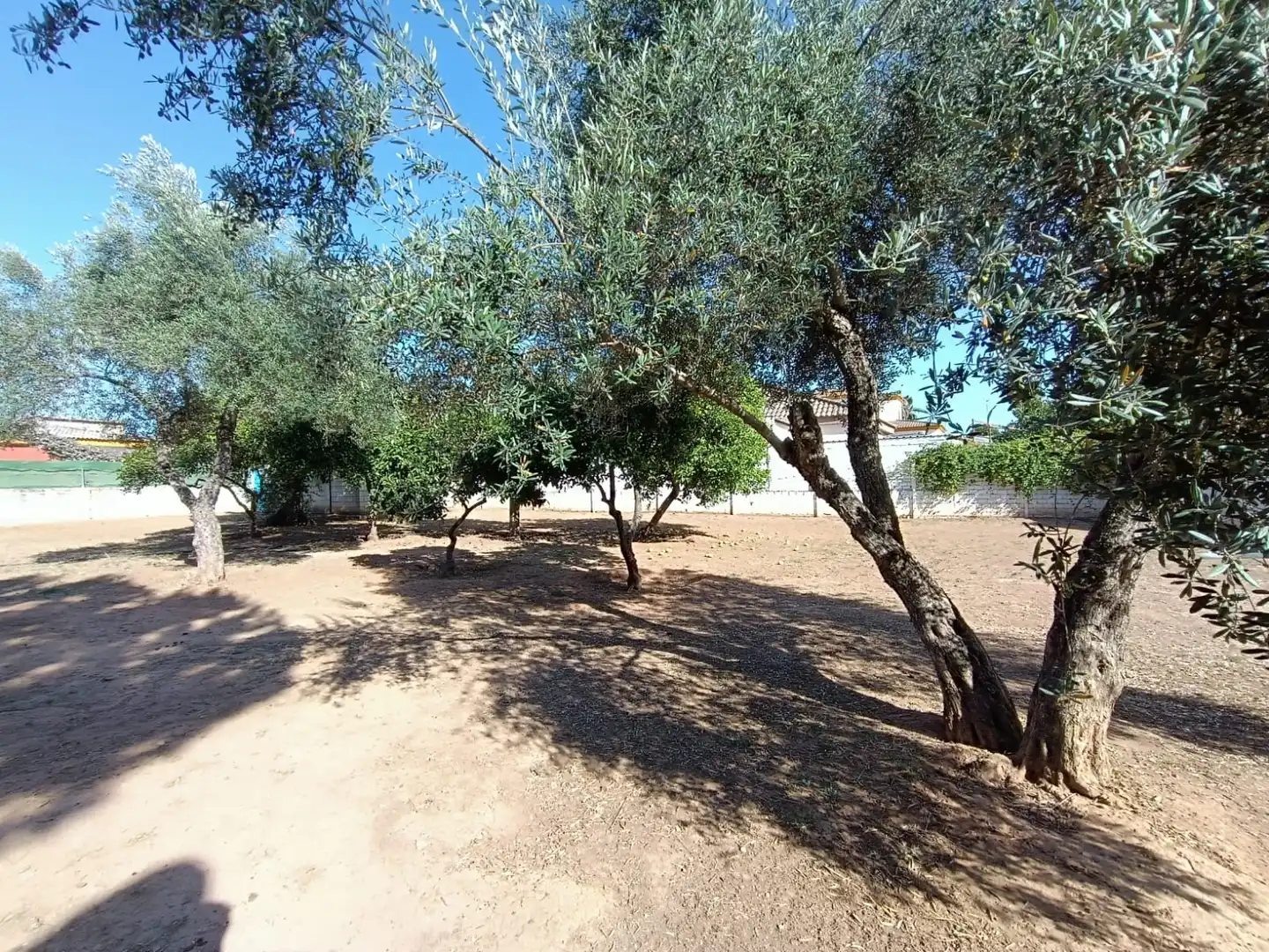 Terrain rustique à vendre à Urbanización Jimena M, imagen 23
