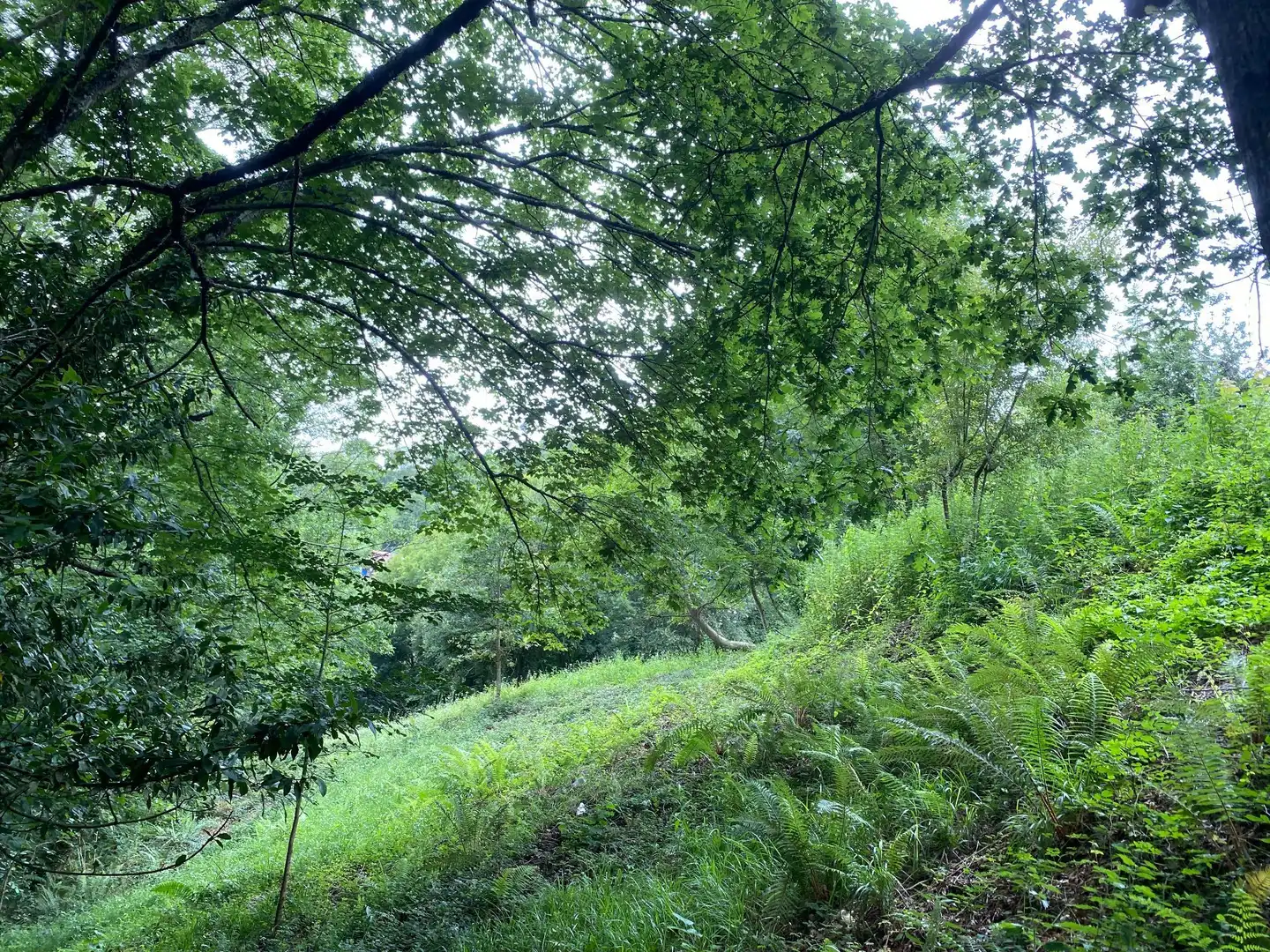 Terreni e lotti in vendita a Cangas de Onís, imagen 9