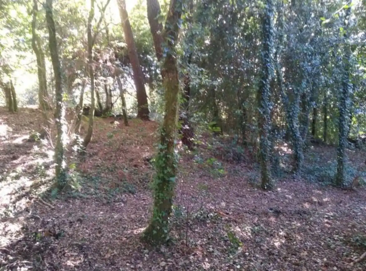 Terreno residenziale in vendita a N/A, imagen 7