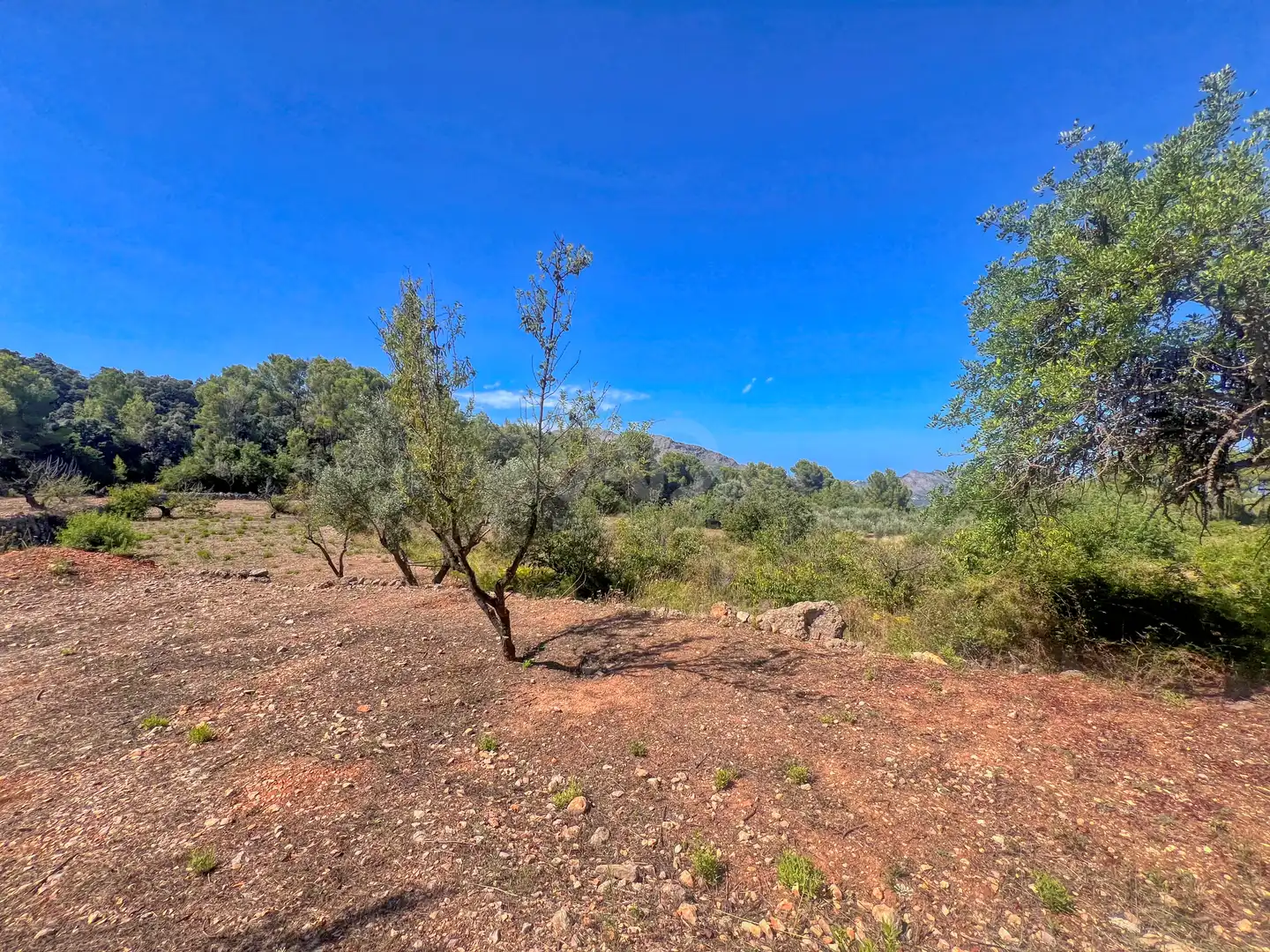Residencial en venta en Murla