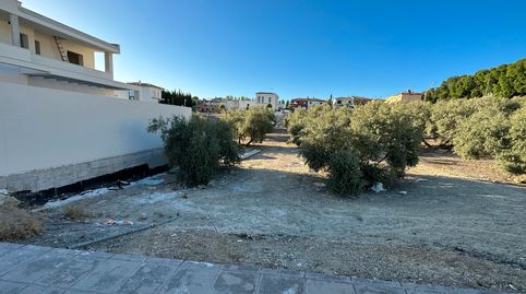 ESTUPENDO SOLAR ZONA CTRA JÓDAR