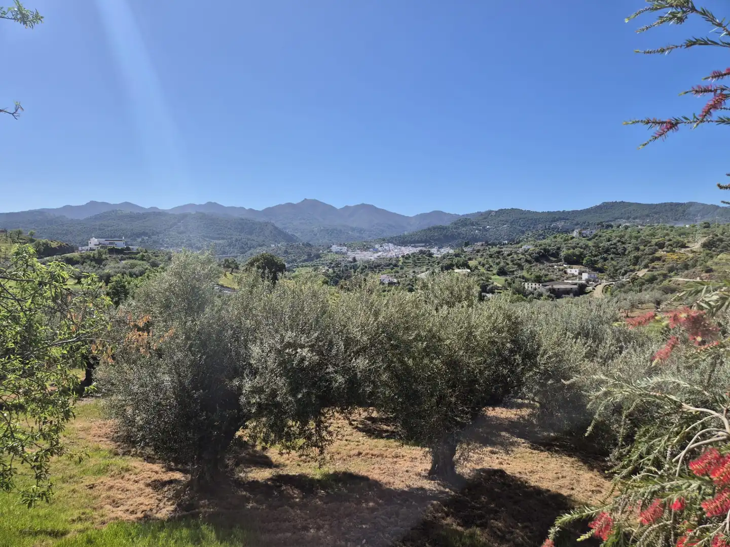 Vista exterior de Finca rústica en venda en Monda amb Calefacció, Jardí privat i Terrassa