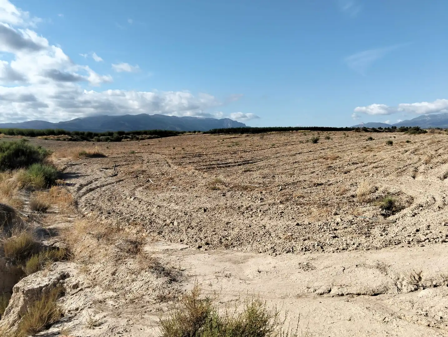 Lands and plots for sale in Mula, imagen 4
