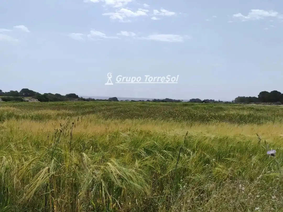 Terreno en venta en Elche / Elx