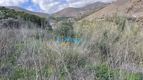 TERRENO PARA USO AGRARIO., immagine 4