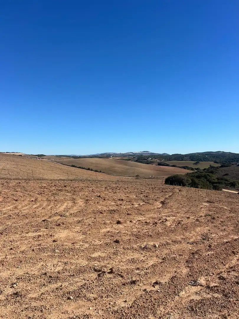 Terreny rústic en venda a Medina Sidonia, imagen 13