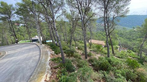 En venta 5 parcelas juntas, immagine 4