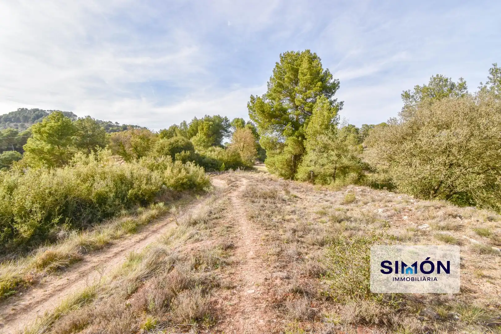 Finca rústica en venta en Veciana