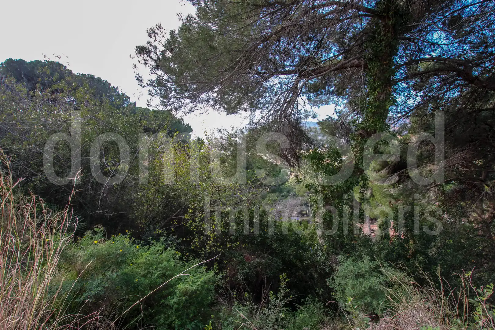 Residential for sale in Cabrils
