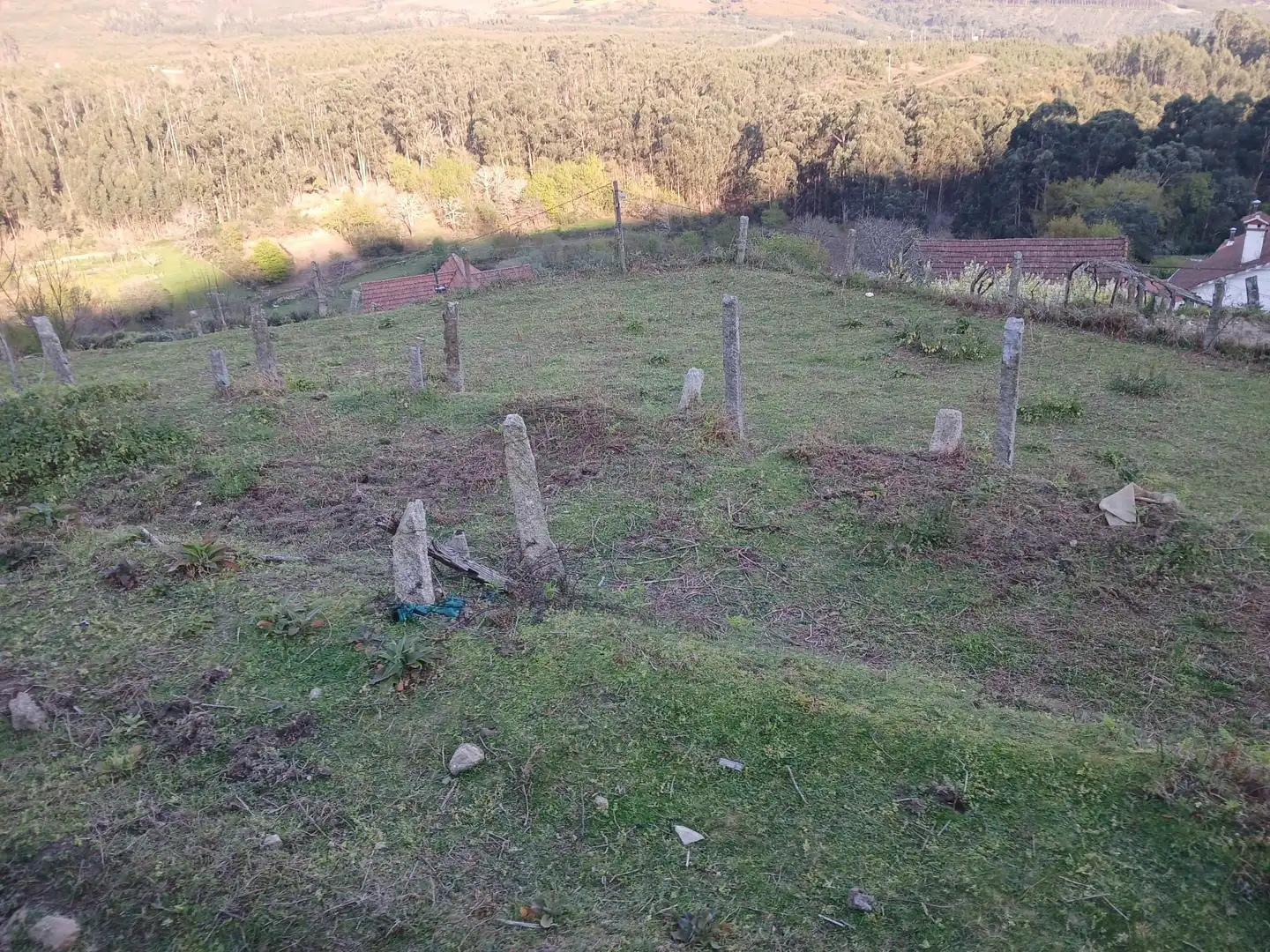 Casa o chalet en venta en As Neves   con Jardín privado