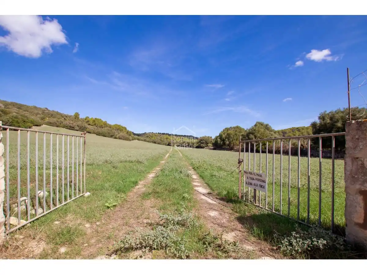 Country homes for sale in Son Bou - Sant Jaume