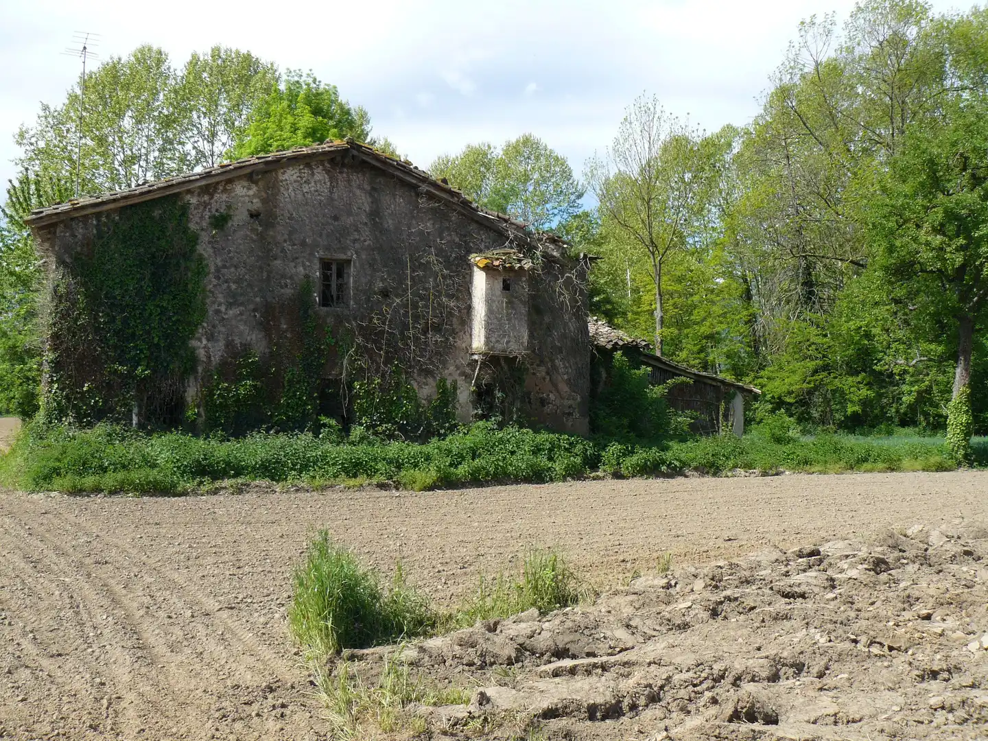 Vista exterior de Finca rústica en venta en Les Preses