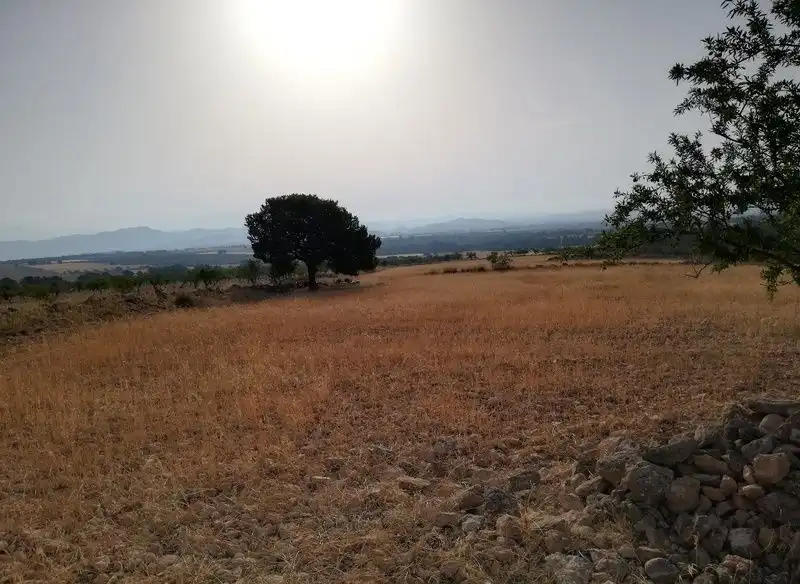 Rural land for sale in Aguica M Lorca 80, imagen 6