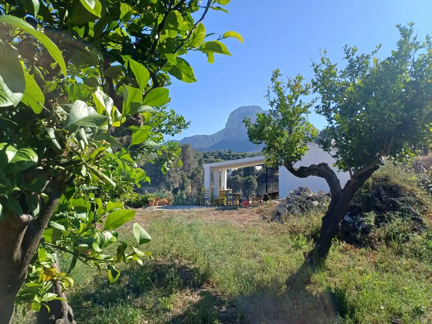 Rural land for sale in Callosa d'en Sarrià, imagen 39