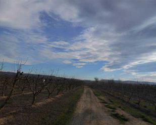 Terreny en venda en Velilla de Cinca