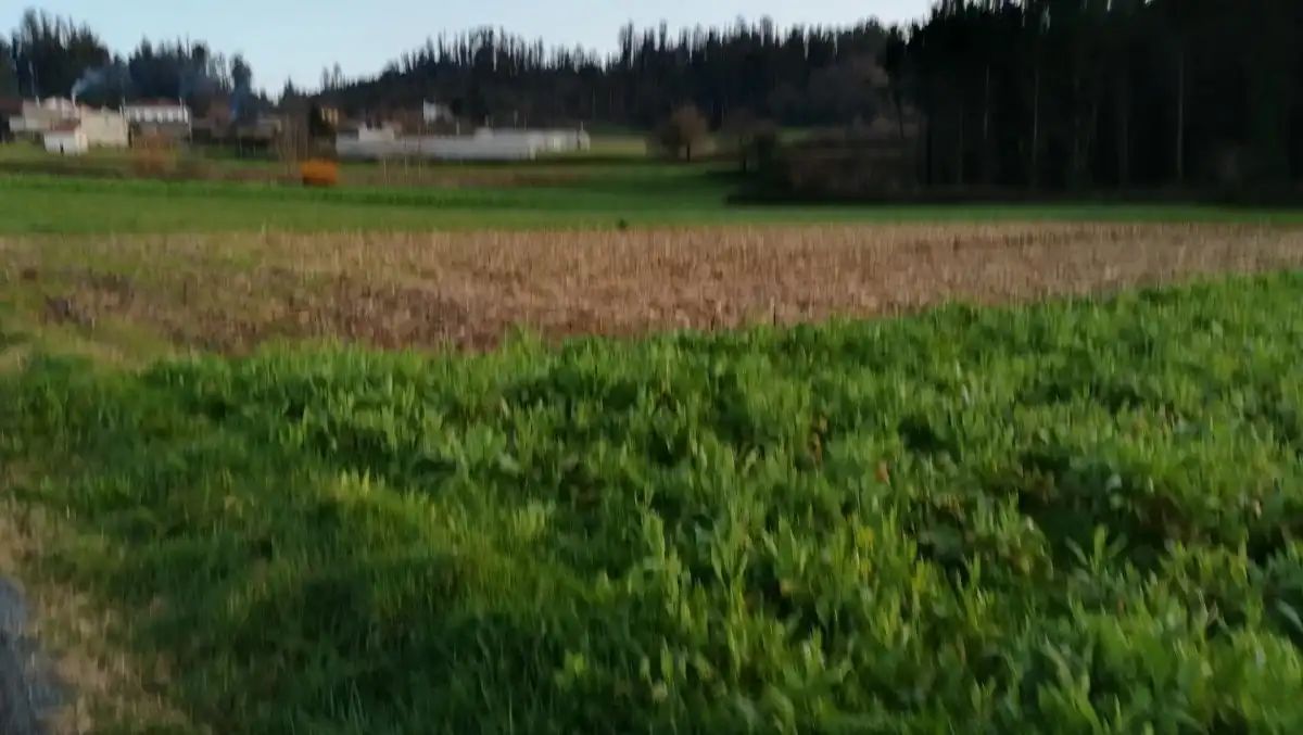Terreni e lotti in vendita a Lugar NOENLLE, imagen 10