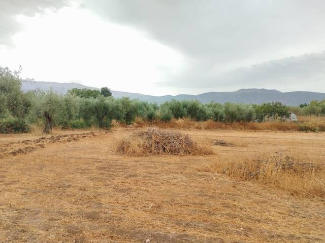 Terreno en Venta en Camino DISEMINADOS en Villa de Otura