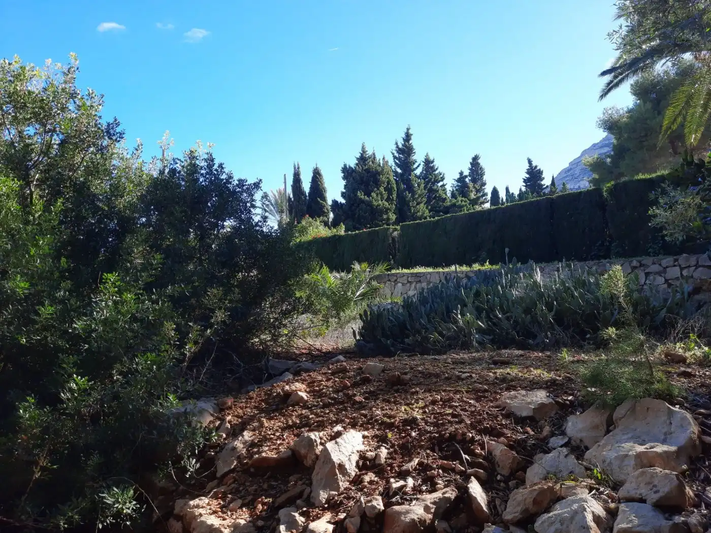 Grundstücke und Bauplätze zum Verkauf in El Montgó, imagen 7