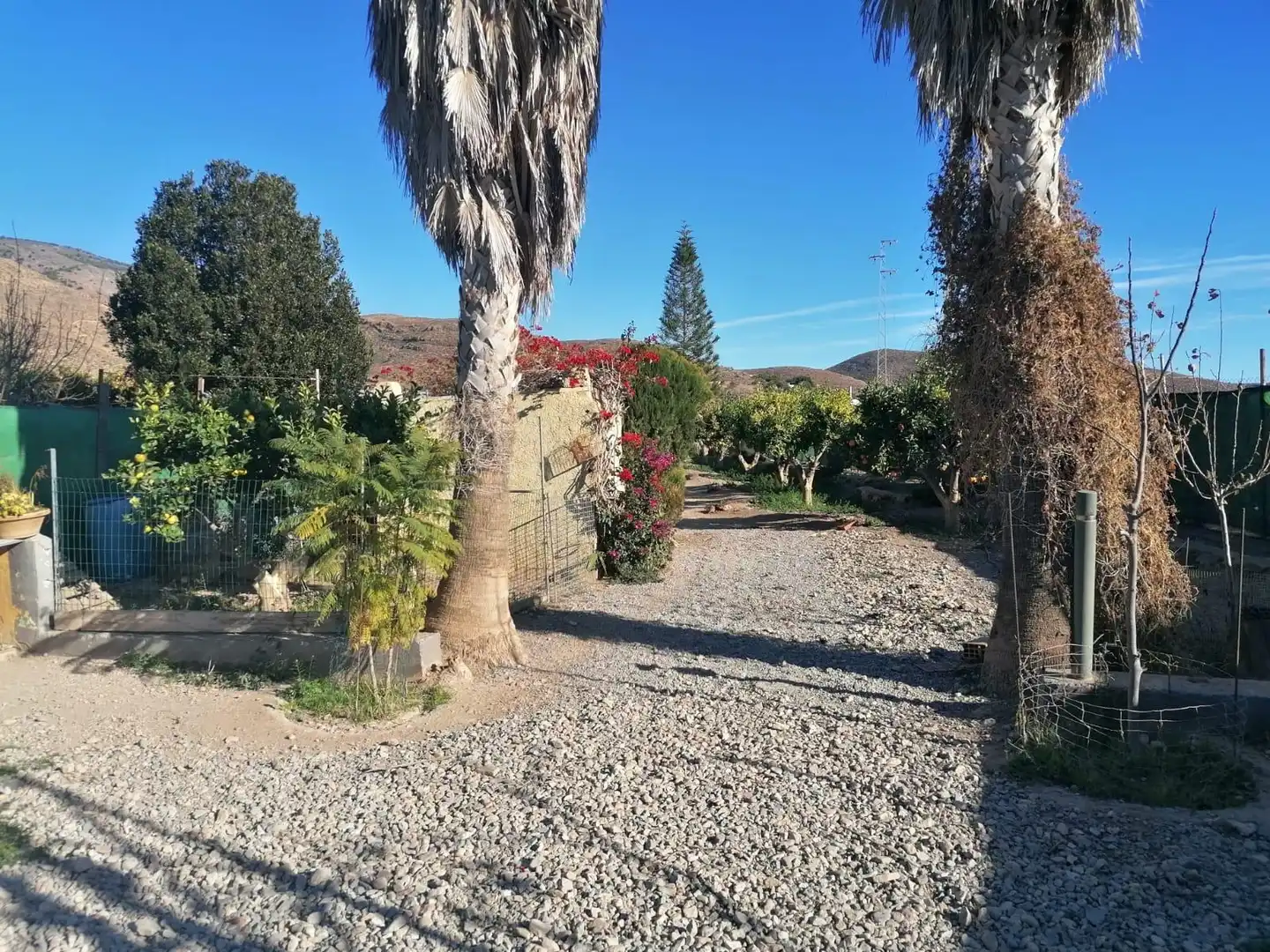 Vista exterior de Finca rústica en venda en Dalías amb Jardí privat i Terrassa