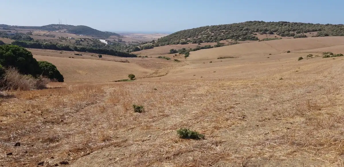 Terreny rústic en venda a Vejer, imagen 5