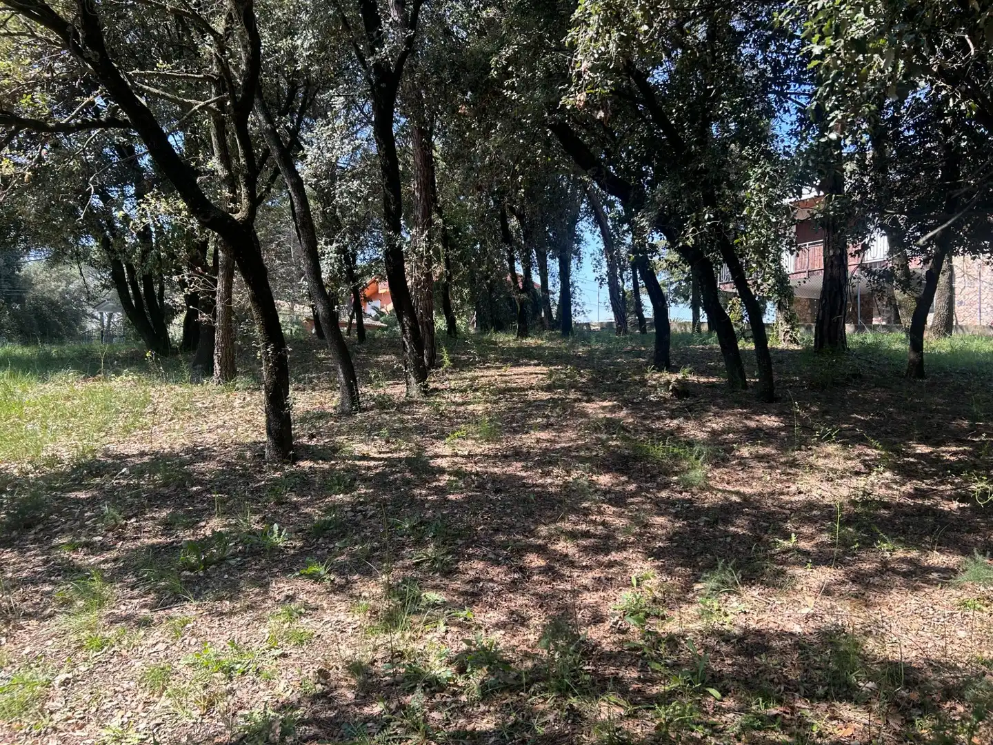 Residencial en venta en Sant Antoni de Vilamajor