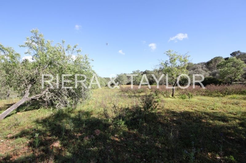 Land for sale in Santanyí