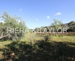 Land for sale in Santanyí