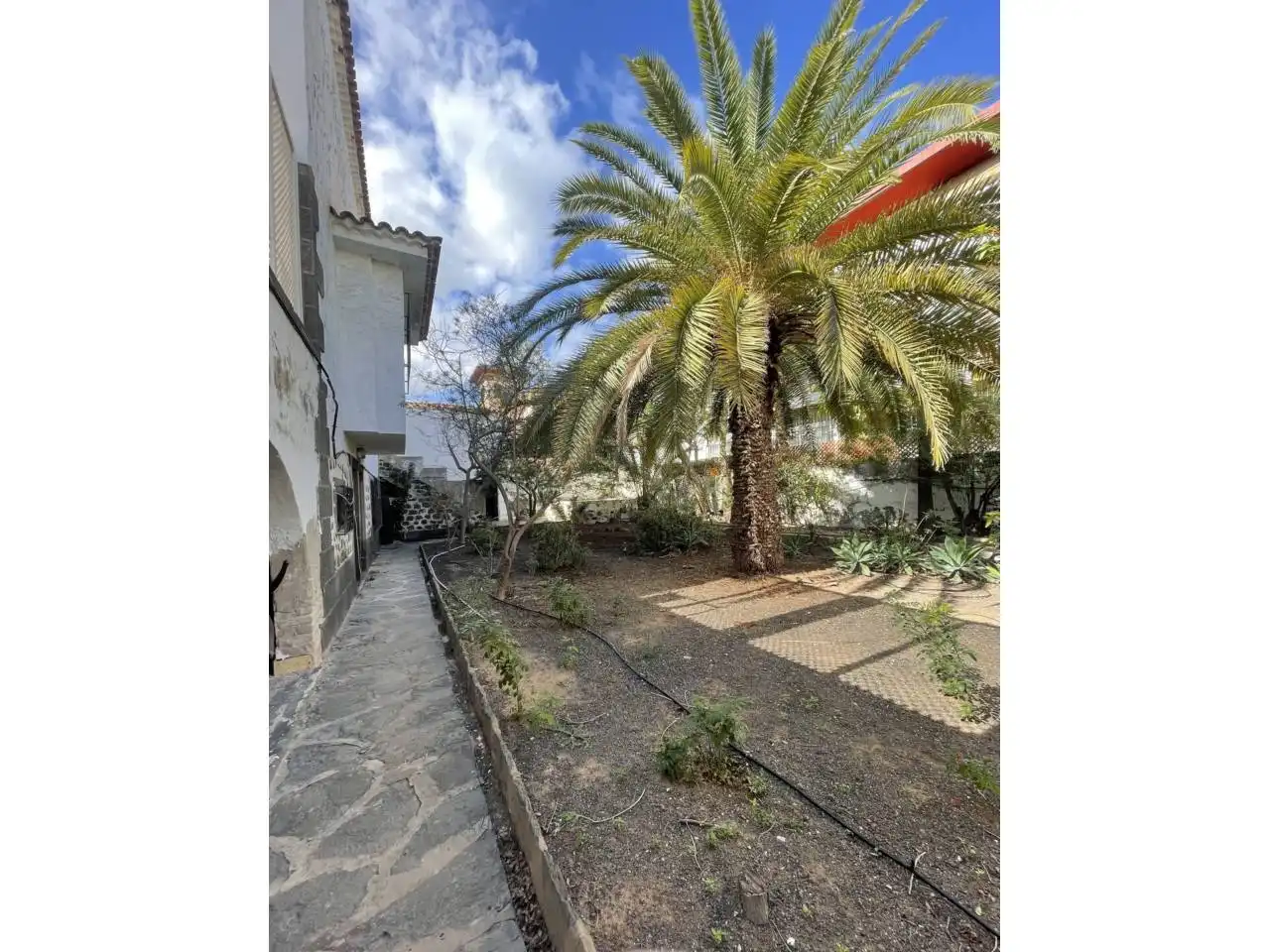 Vista exterior de Casa o chalet en venta en Las Palmas de Gran Canaria con Jardín privado, Terraza y Piscina